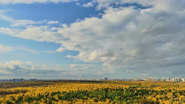 Clouds in the blue sky and the city behind the autumn trees in the forest, day timelapse