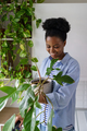 Young African American woman with wide smile holds house plant and examines Philodendron flower - PhotoDune Item for Sale