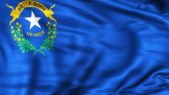 Nevada State Flag