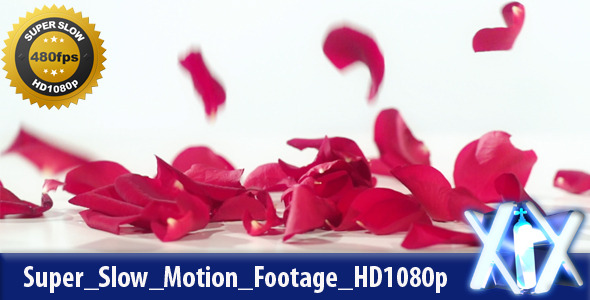 Rose Petals Falling 480fps