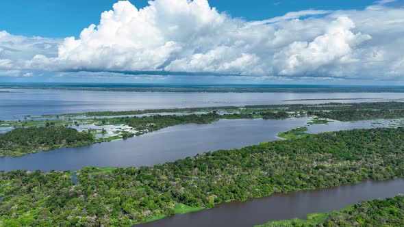 Stunning landscape of Amazon Forest at Amazonas State Brazil.