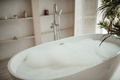 Luxury interior of big bathroom at modern african style with oval bathtub in natural lighting - PhotoDune Item for Sale