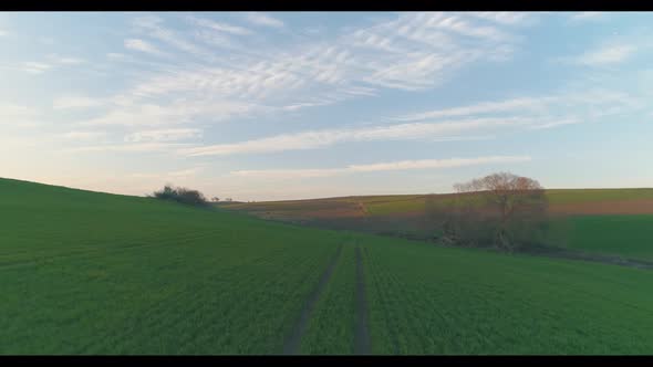 Aerial Shot Of Green Field On Spring 3