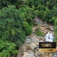 AH - Tropical Rainforest - VideoHive Item for Sale