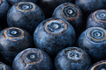 Blueberry’s macro closeup black background - PhotoDune Item for Sale