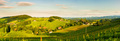 Grape hills and mountains view from wine street in Styria, Austria  - PhotoDune Item for Sale