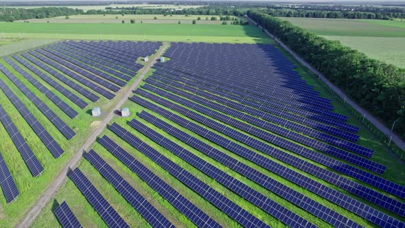 Green Grass Farmland Aerial