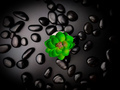 Top view green plant with black stone on a black background. - PhotoDune Item for Sale