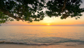 Beautiful sunset at tropical paradise beach. View from under the tree at seaside in the evening - PhotoDune Item for Sale