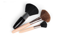 Three Cosmetic Brushes - PhotoDune Item for Sale