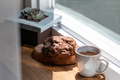coffee and cookies near the window - PhotoDune Item for Sale