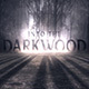 DarkWood title intro - VideoHive Item for Sale