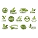 Stevia Leaf and Sweetener Herbal Extract Icons - GraphicRiver Item for Sale