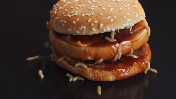 Closeup of Burger on Which Maggots Crawl and Fall Out on Dark Background