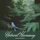Natural Harmony - AudioJungle Item for Sale