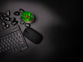 A black wireless keyboard and green plant on a black background. - PhotoDune Item for Sale