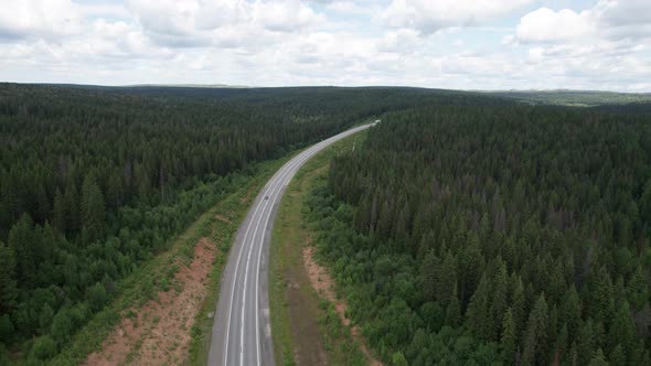 Aerial View of Scenic Road Between Green Trees with Pines on a Sunny Summer Morning