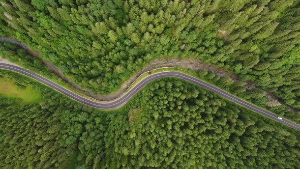 Aerial View of a Coniferous Forest Through Which a Winding Road Passes in the Mountains