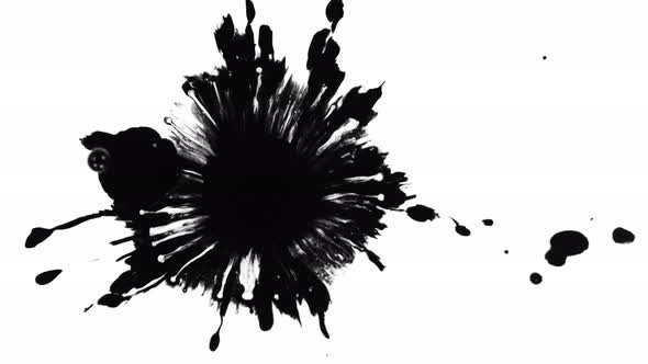 Super Slow Motion Shot of Black Ink Drop Isolated on White Background at 1000 Fps