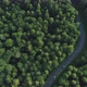 Aerial View of Green Forest with Road and Car - VideoHive Item for Sale