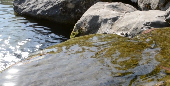 Mountain Stream