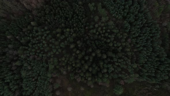 Aerial Over the Hills Covered with Forest in Himmelbjerget Area Denmark