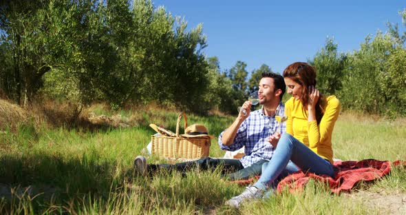Couple having a glass of wine in olive farm 4k