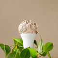 Creative lightbulb with green leaves on beige background. - PhotoDune Item for Sale