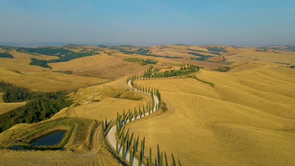 Tuscany Landscape with Grain Fields Cypress Trees on the Hills at Sunset