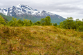 View to hill and fjord in North Norway - PhotoDune Item for Sale