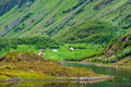 Remote country houses in North of Norway - PhotoDune Item for Sale