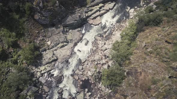 Aerial top down flight over flowing creek over forest trees in wilderness of Portugal