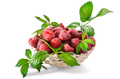 ripe raspberries with leaves - PhotoDune Item for Sale