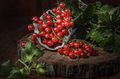 ripe currant berries - PhotoDune Item for Sale