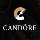 Candore | Restaurant & Wine Bar Template - ThemeForest Item for Sale