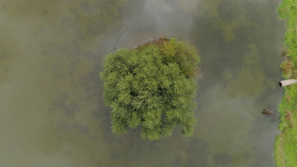 Aerial of a spit of land in a pond