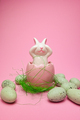 Pink bunny - PhotoDune Item for Sale