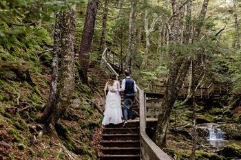 way in a magical green forest in New Brunswick