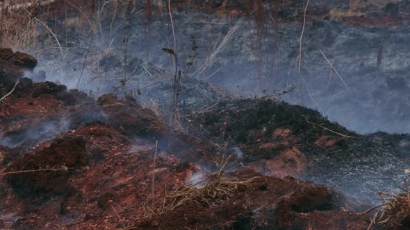 A shot of peat bog fire
