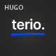 Terio - Digital Agency & IT Services Hugo Theme - ThemeForest Item for Sale