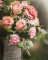 Fine Art Still Life Image of a beautiful Bouquet of pink carnations and roses. - PhotoDune Item for Sale