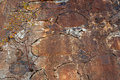 Texture of a cracked stone wall for background - PhotoDune Item for Sale