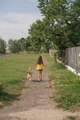 Child walks dog on leash along a path in suburbs on summer morning - PhotoDune Item for Sale