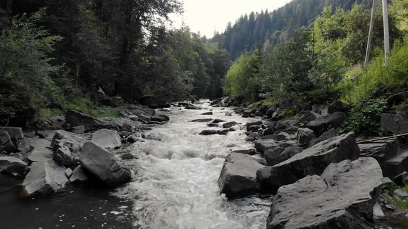 Mountain River Flowing Over Stones on Forest Background