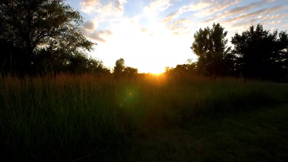 Going through tall grass into sunset