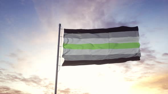Agender Pride Flag Waving in the Wind