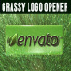 Grassy Logo Opener - VideoHive Item for Sale