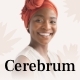 Cerebrum - Trauma Counseling & Psychology WordPress Theme - ThemeForest Item for Sale