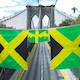 A Jamaican in Brooklyn