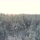 Winter Forest Aerial View Flying Close to Snowy Tree Top in Sunny Morning - VideoHive Item for Sale